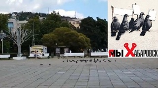 КРЫМ ПОДДЕРЖИВАЕТ ХАБАРОВСК