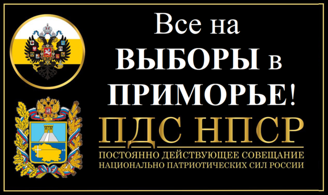 Поможем установлению Народной власти в Приморье! За НПСР! За Мамошина!