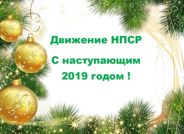 С наступающим 2019 годом !