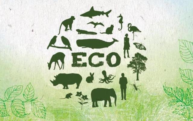 Планета требует разума каждого и вашей помощи