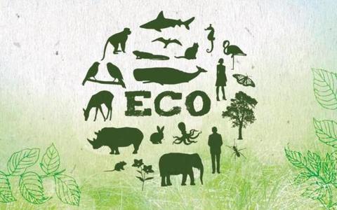 Планета требует разума каждого и вашей помощи