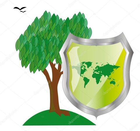 РЭФ - Российский Экологический Фронт