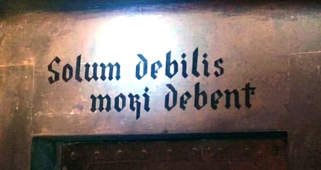 «Слабый должен умереть» ?